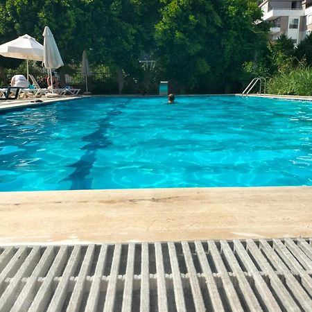 Antalya Begonvil Apart Dış mekan fotoğraf